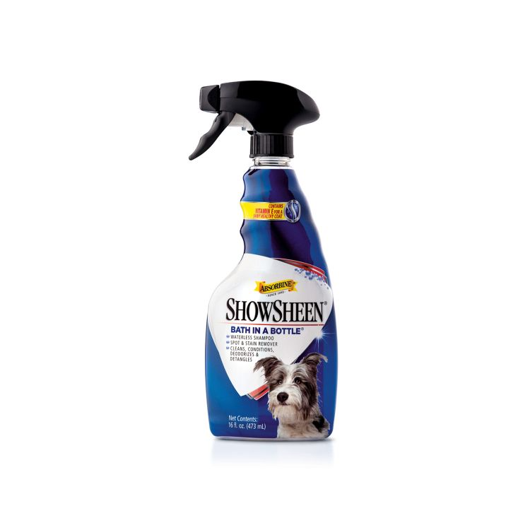Shampoo Seco