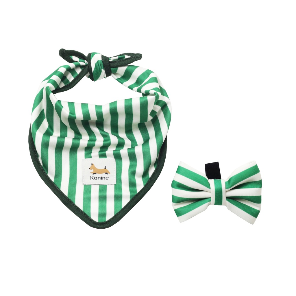 Conjunto de Bandana e Laço