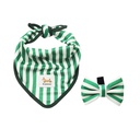 Conjunto de Bandana e Laço
