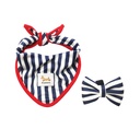 Conjunto de Bandana e Laço