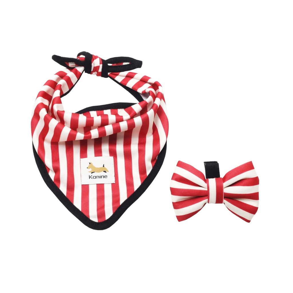Conjunto de Bandana e Laço