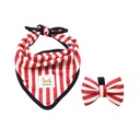 Conjunto de Bandana e Laço