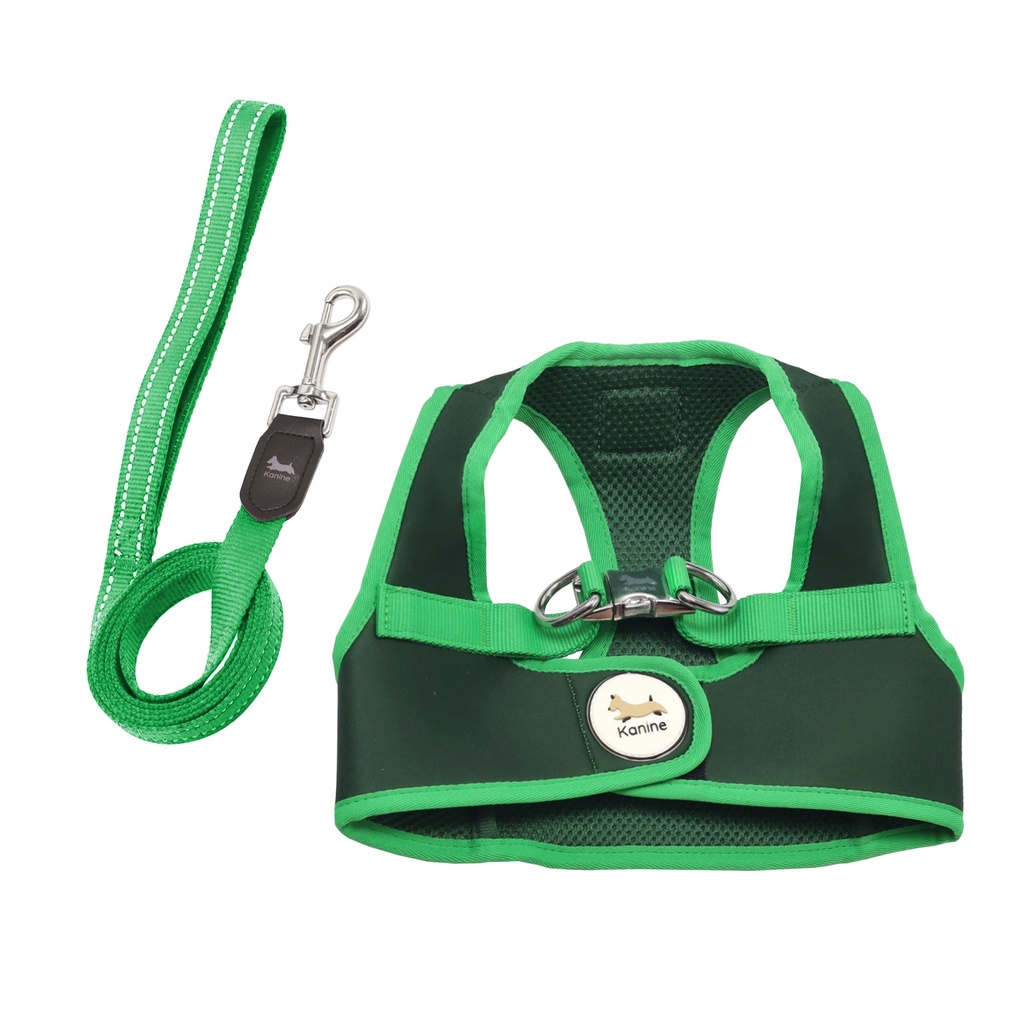 Conjunto Peitoral e Trela