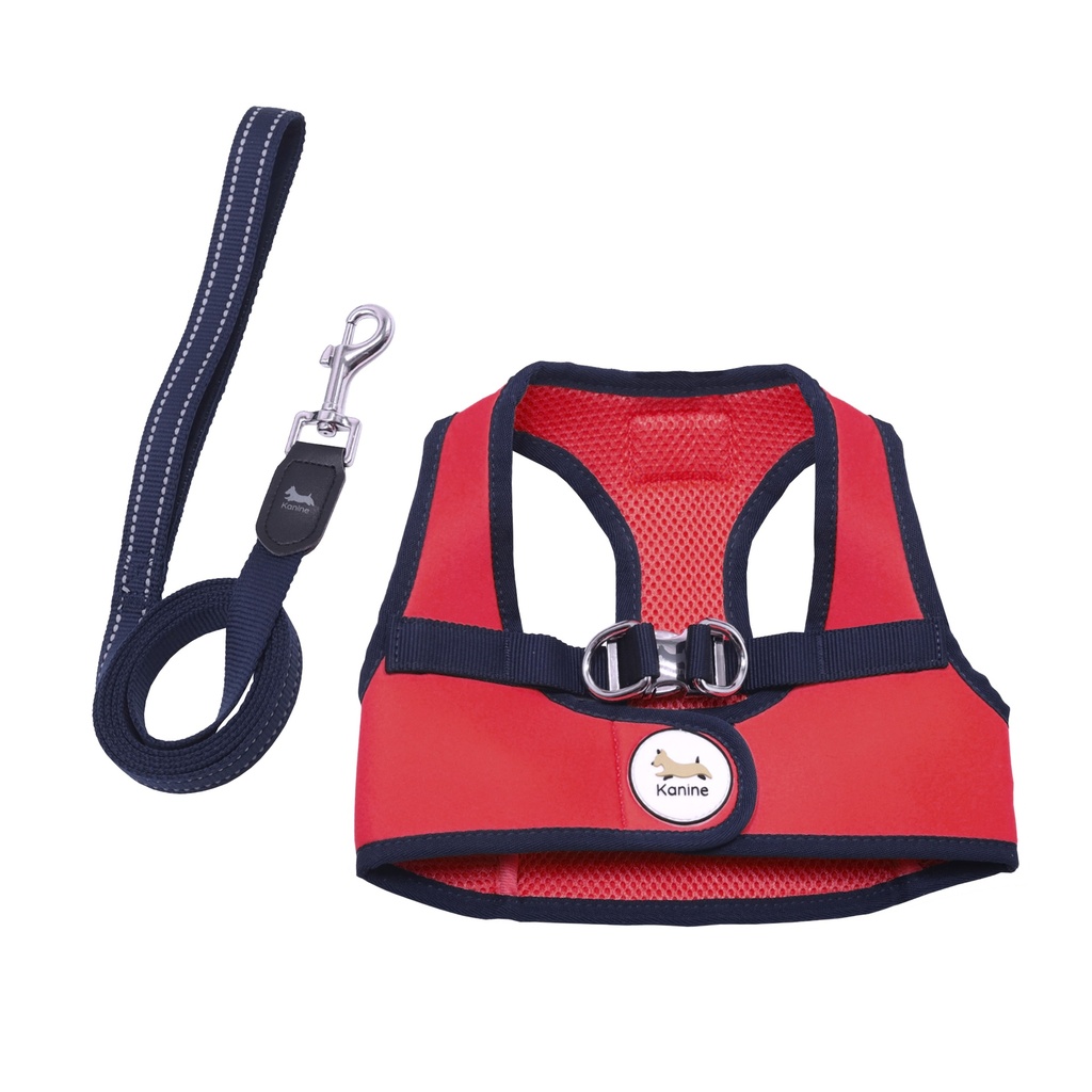 Conjunto Peitoral e Trela