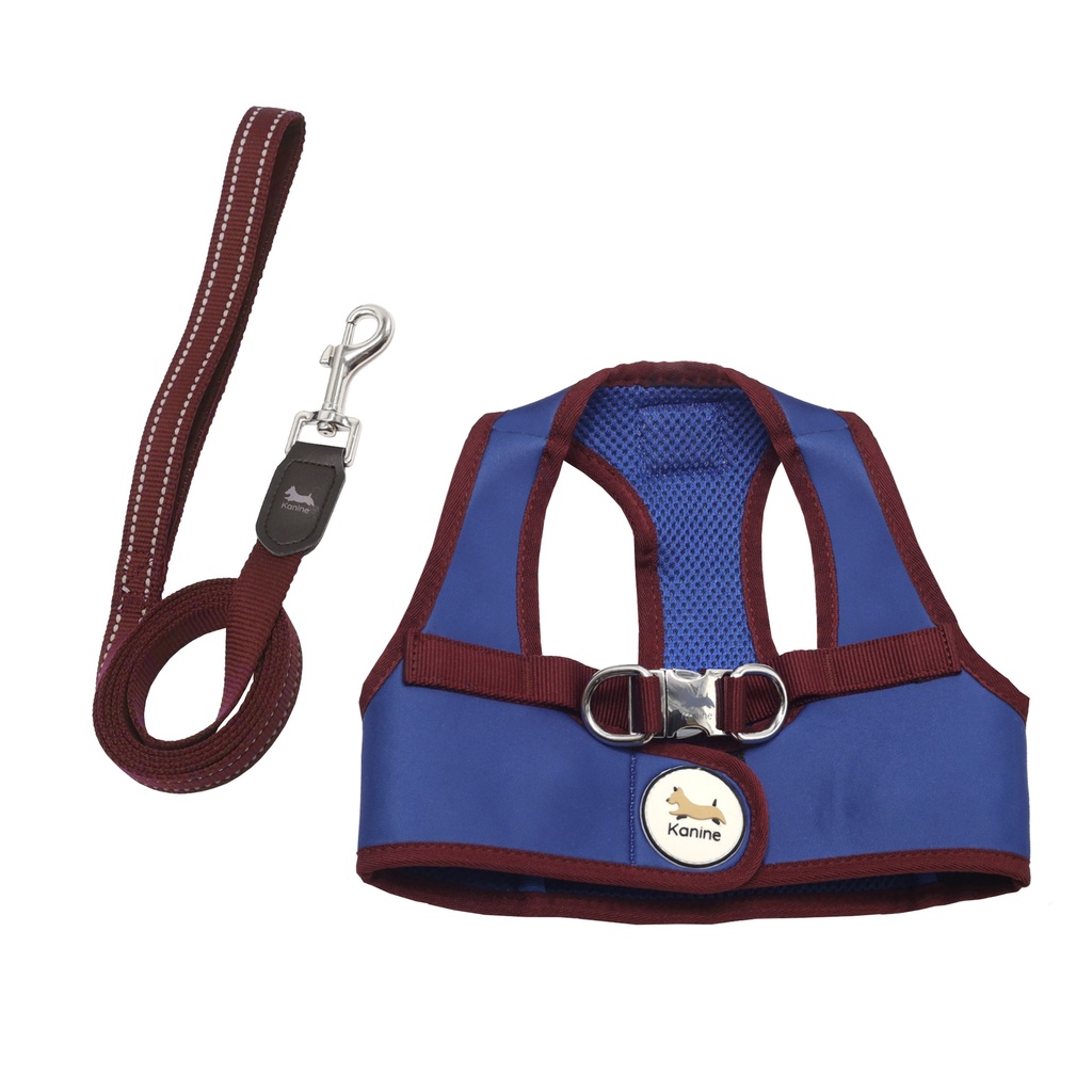 Conjunto Peitoral e Trela