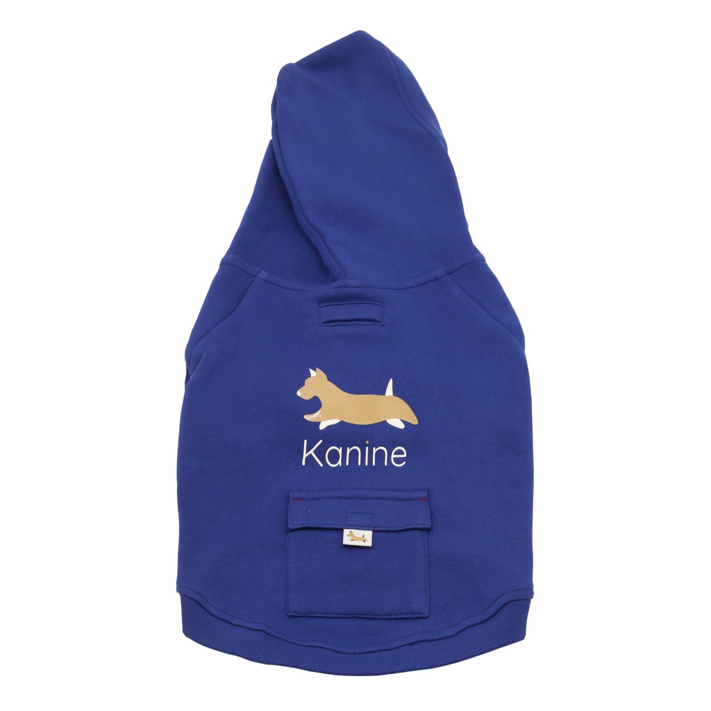 Hoodie Polar