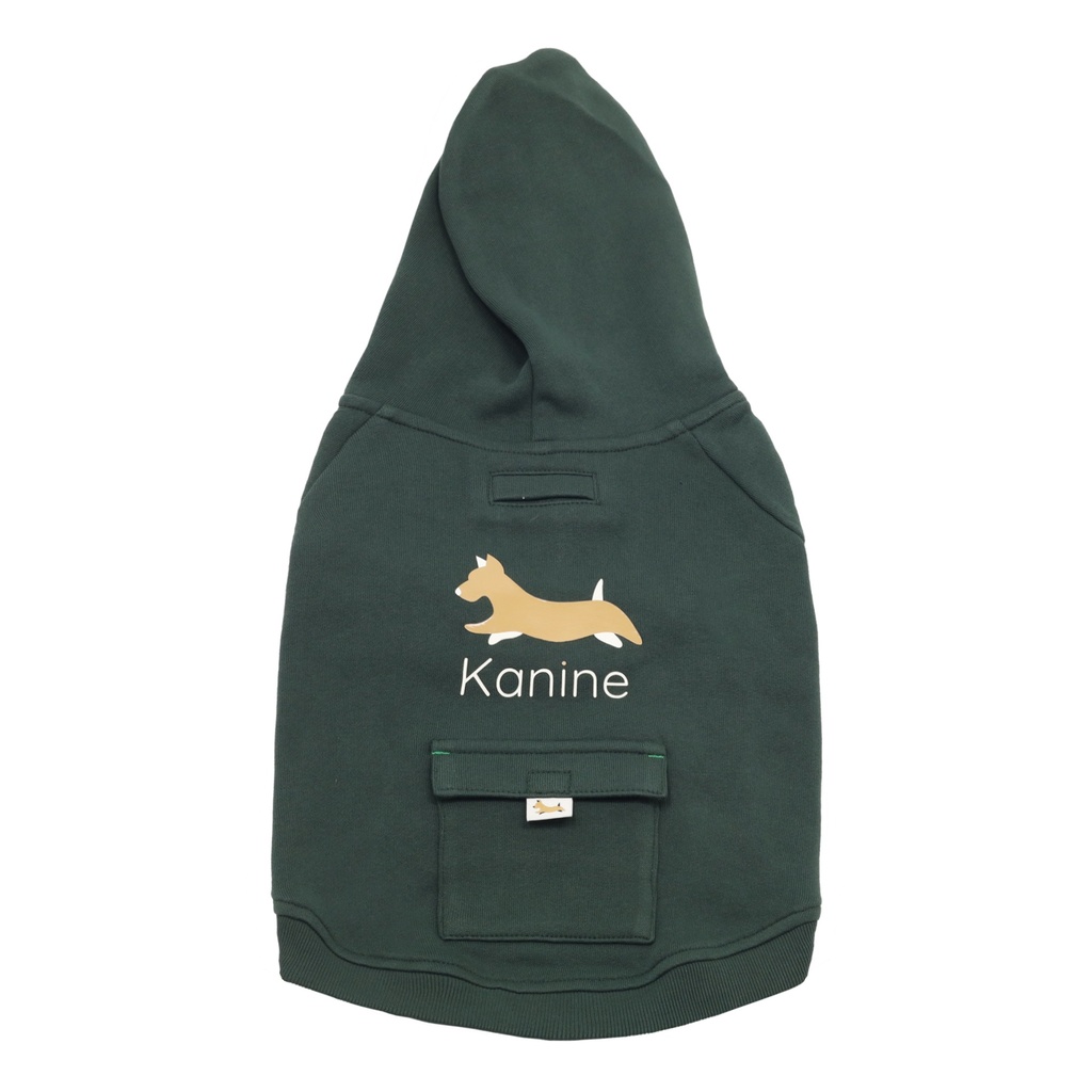 Hoodie Polar