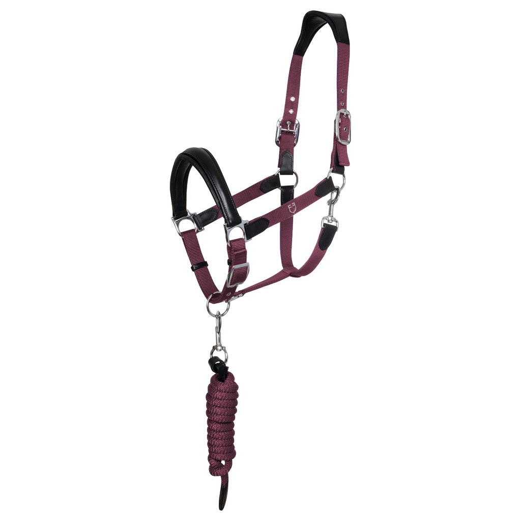Cabeção Ergonomico Equestro