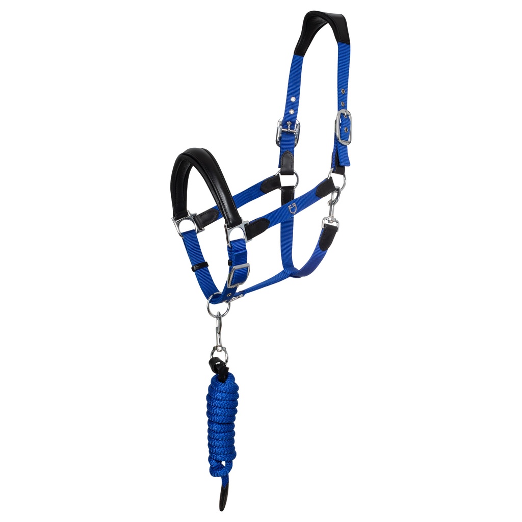 Cabeção Ergonomico Equestro