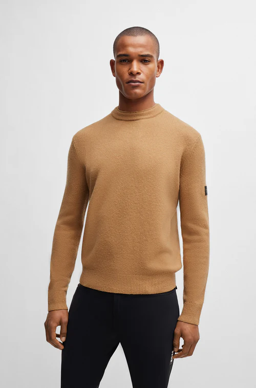 Pullover Rayn Boss