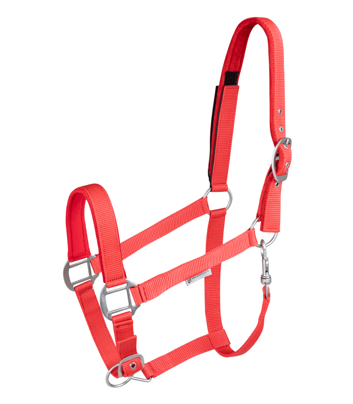 Cabeção Safety
