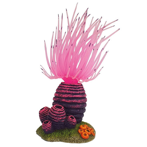 Decor Aqua "Aplysina"