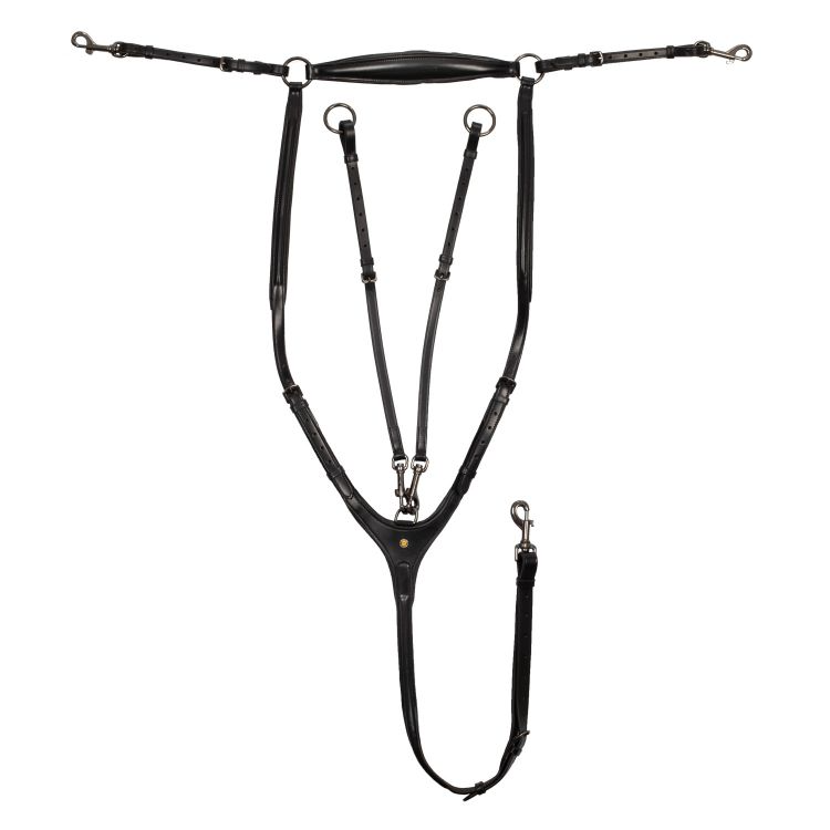 Peitoral Anatómico Pectoral