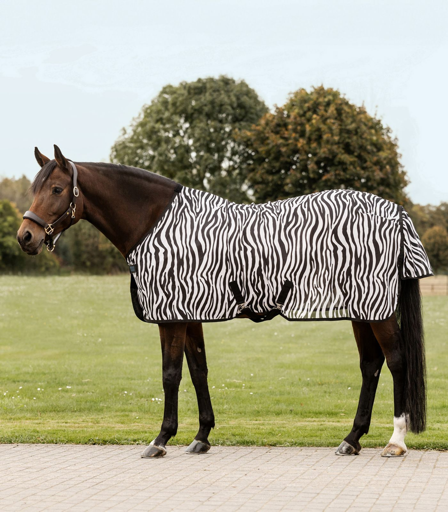 Manta Zebra com tiras