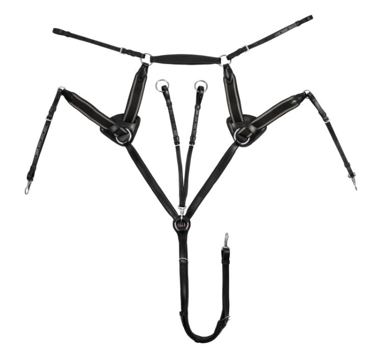 Peitoral de 5 pontas anatómico