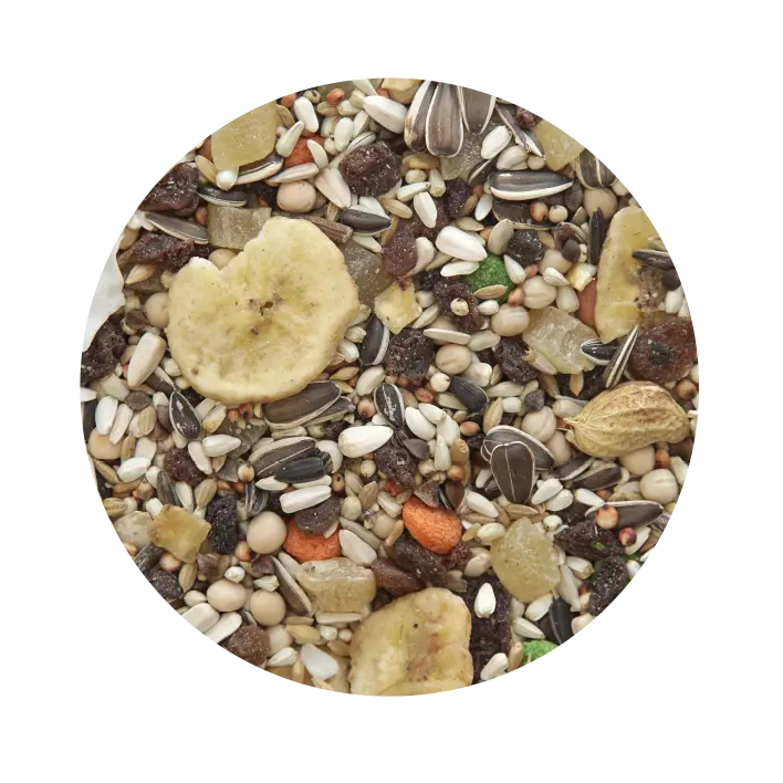 Papagaio c/frutos "Pet Cup"
