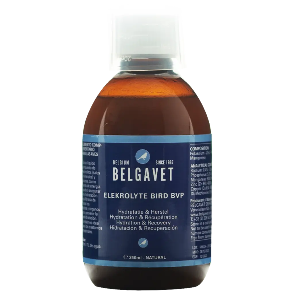 BelgaVet Elektrolyte Liquid Bird 250ml (eletrólitos líquidos + glicose). Para pássaros