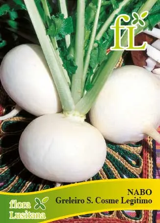 Nabo Greleiro São Cosme