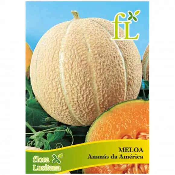 Meloa Ananás América