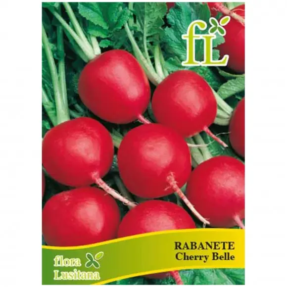 Rabanete Cherry Belle