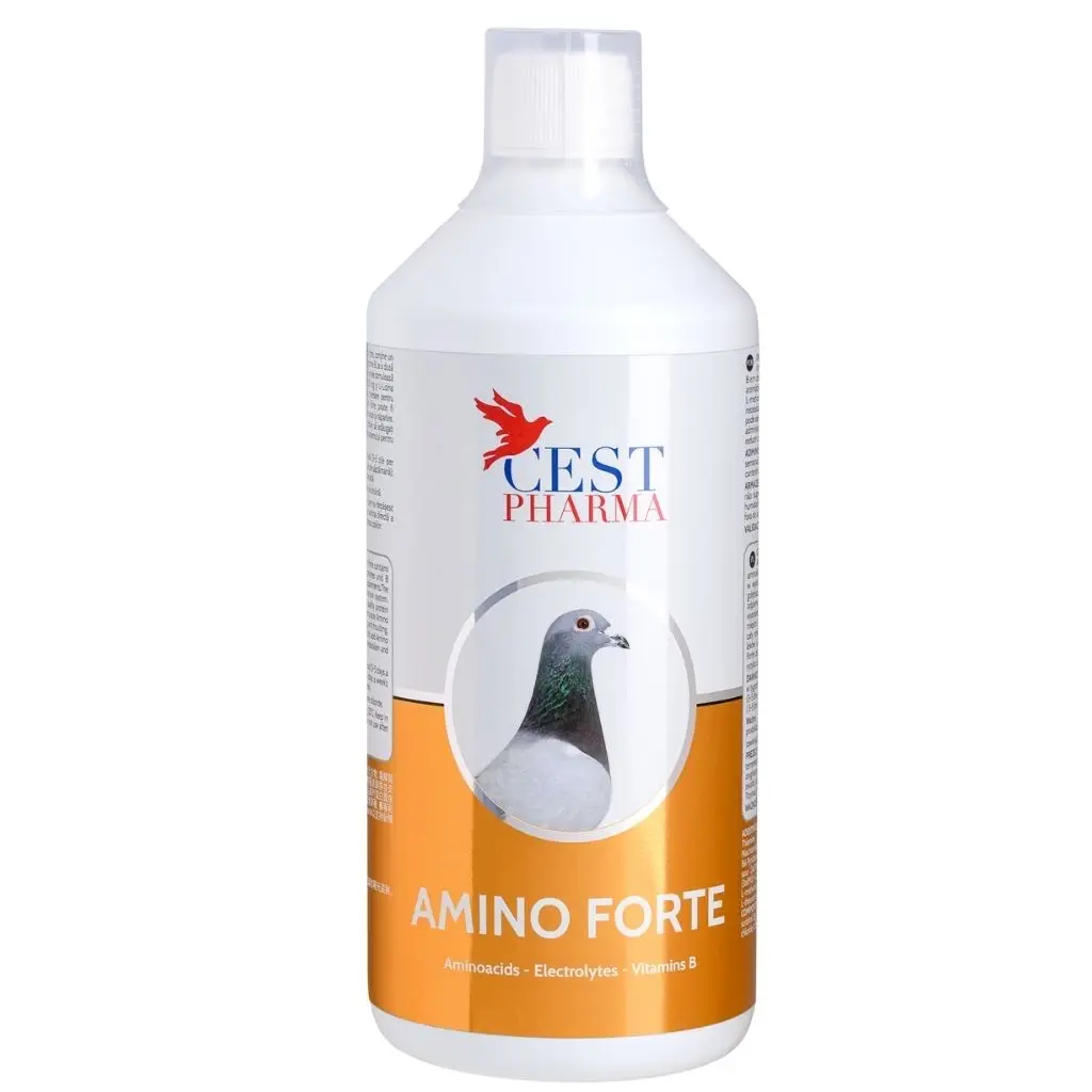 Amino Forte