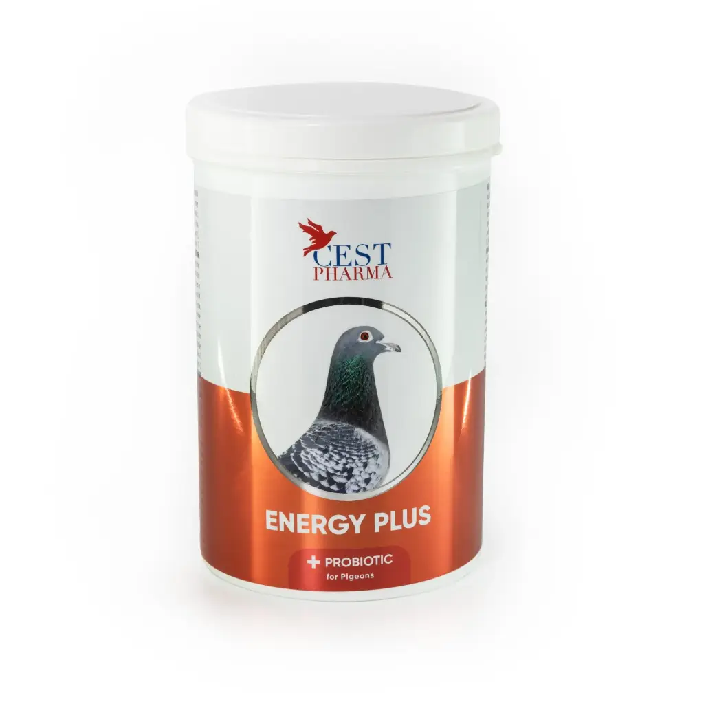 Energy Plus 600gr