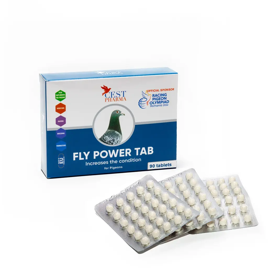 Fly Power Tabs