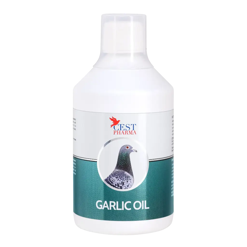 Garlic Oil 500ml