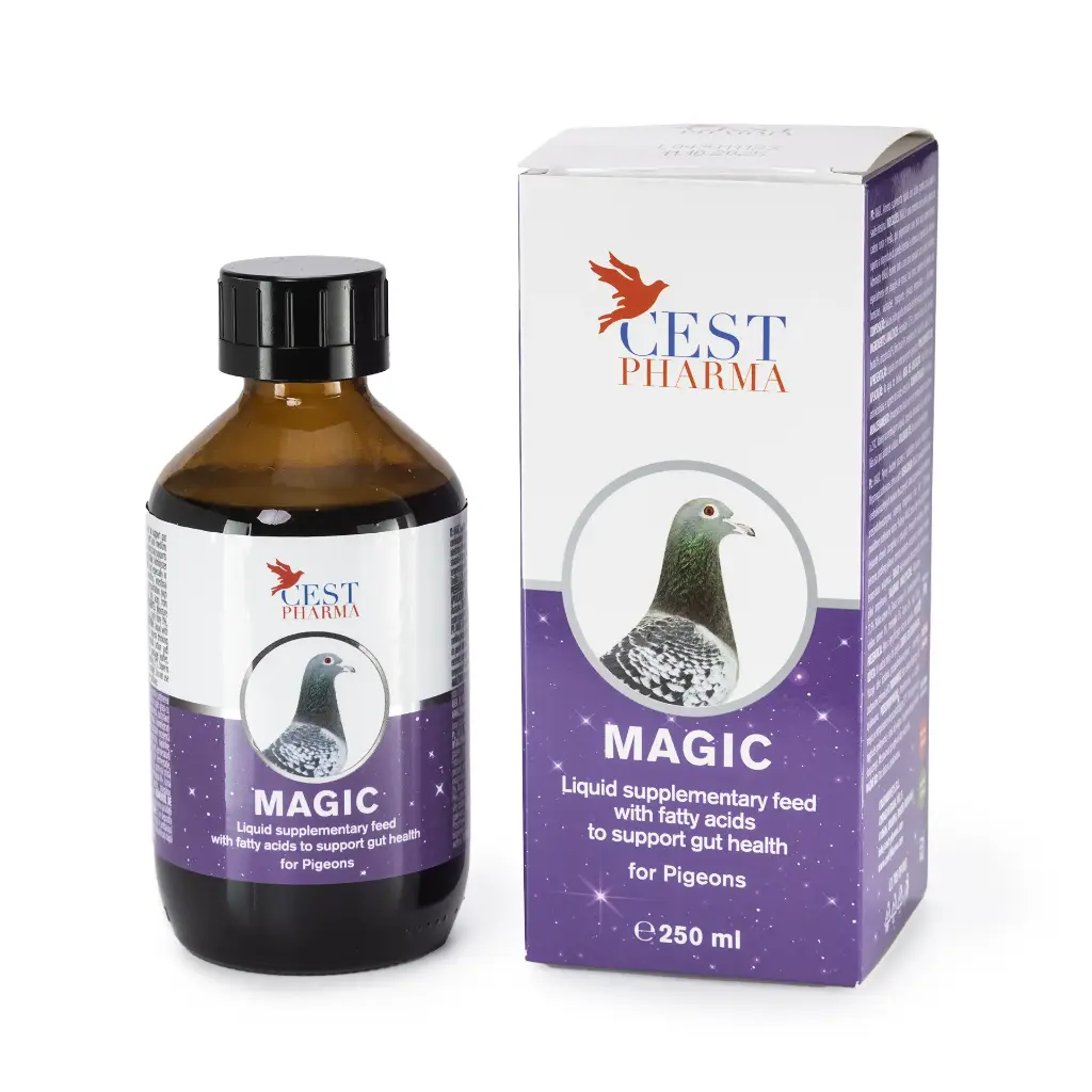 Magic 