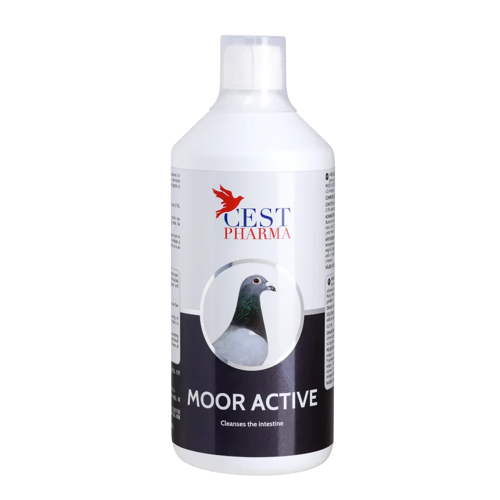 Moor Active 1000ml