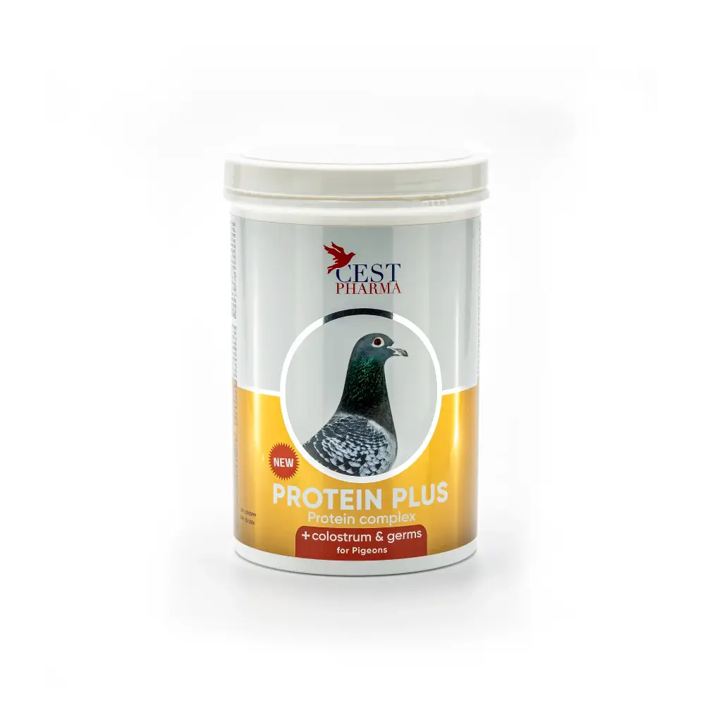 Protein Plus 600gr