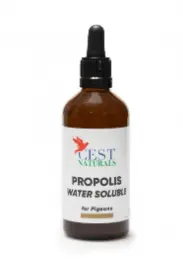 Propolis 100ml