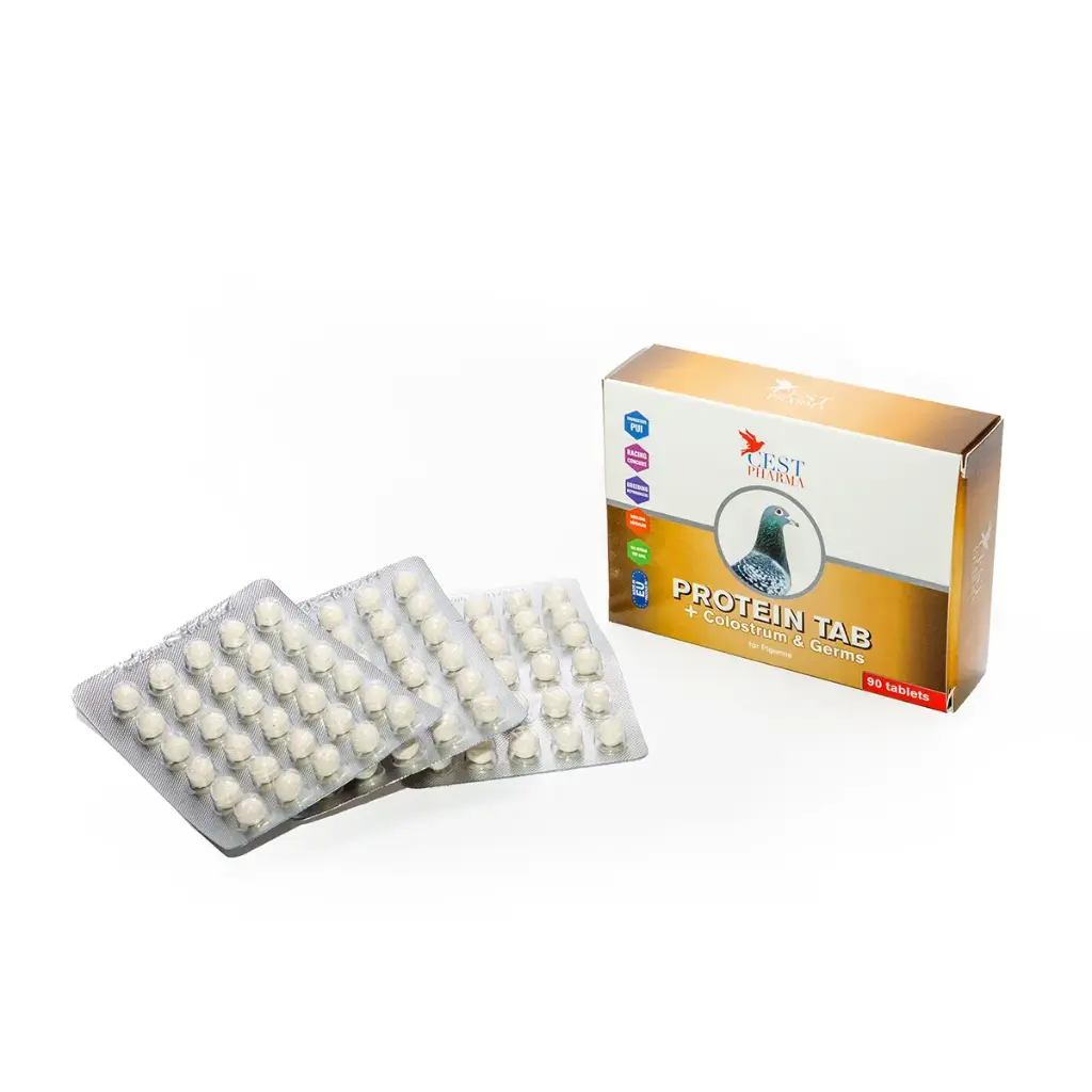Protein Tab