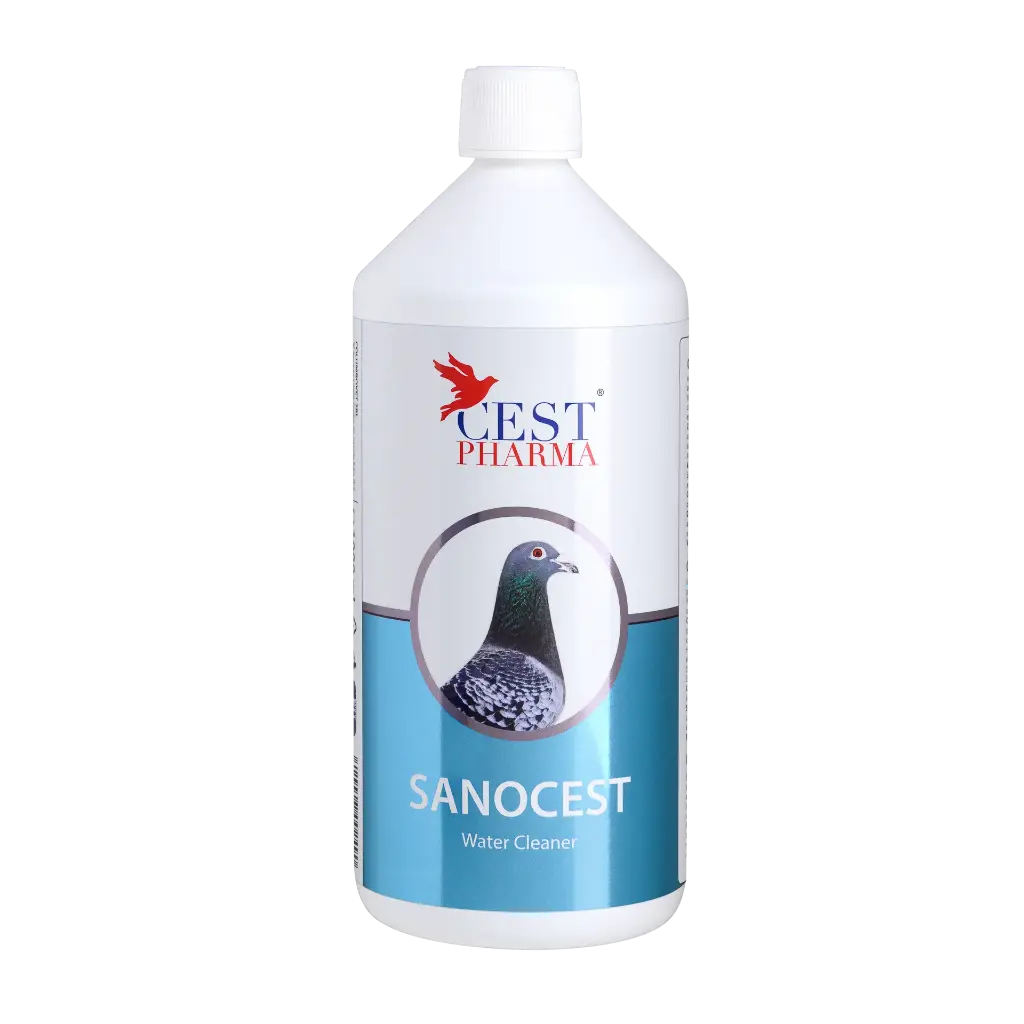 Sanocest 1000ml