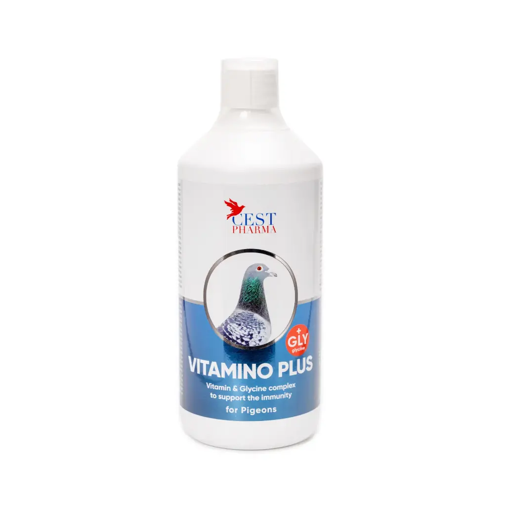 Vitamino Plus 1000ml