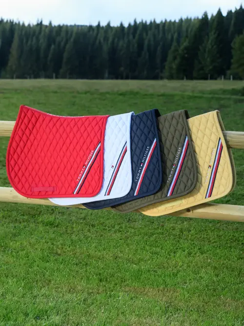 Pack de 10 Suadouros Stanford Tommy 