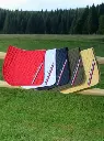 Pack de 10 Suadouros Stanford Tommy 