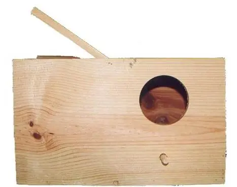 Ninho Caturras Horizontal