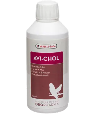 Versele-Laga Avi-Chol 
