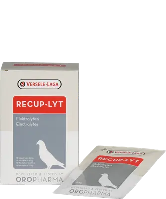 Versele-Laga Recup-Lyt