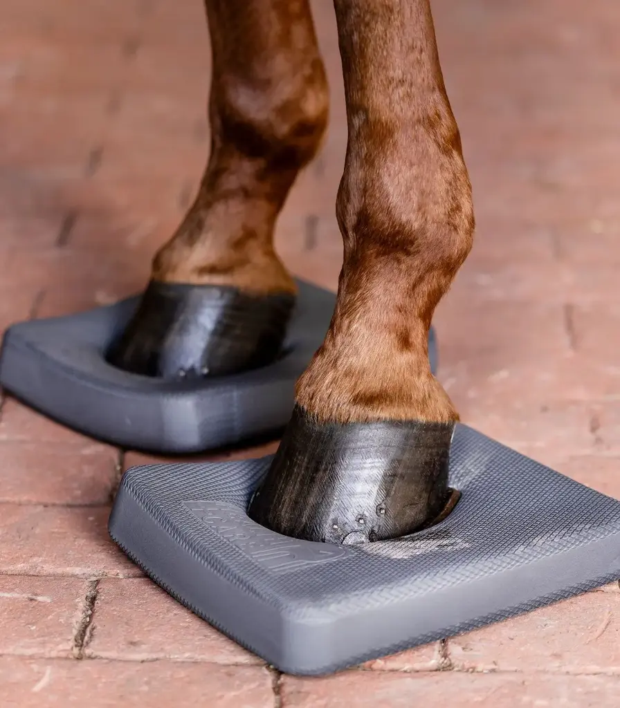 Balance Pads Health + Care