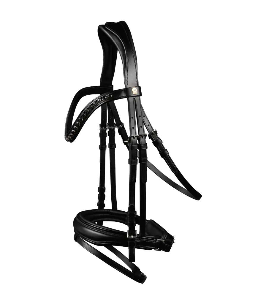 Cabeçada  S-Line Patent Bridle Blackshine