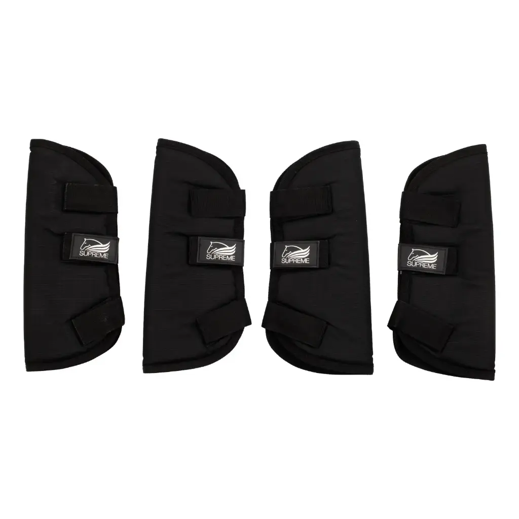 Pensos de Transportes