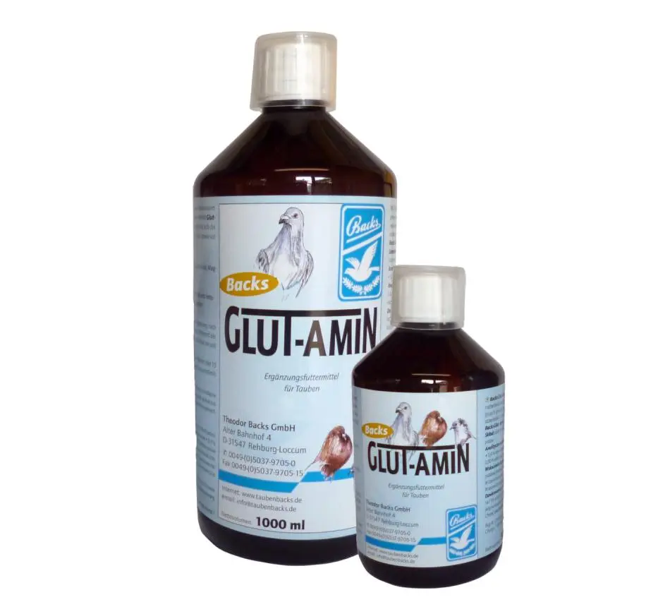 Glut-Amin Backs 
