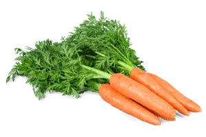 Cenouras