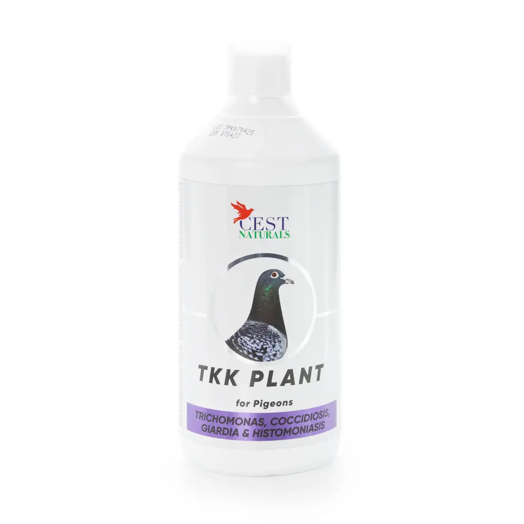 TKK Plant 1000ml (cópia)