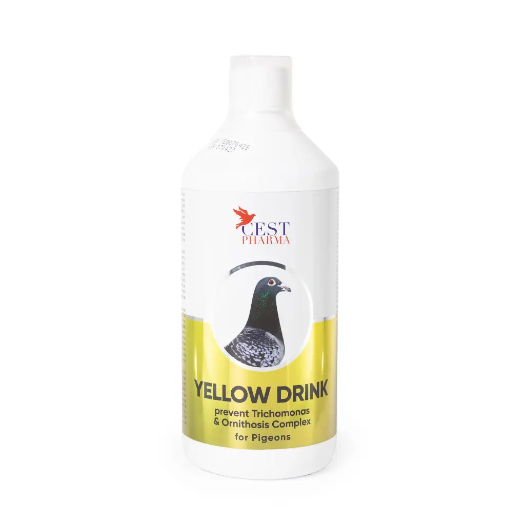 Yellow Drink 1000ml 
