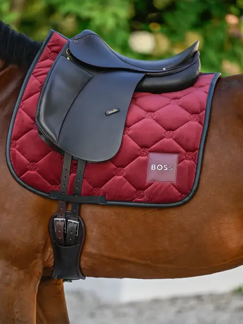 Suadouro Boss Velvet
