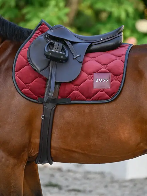 Suadouro Boss Velvet Obstaculos