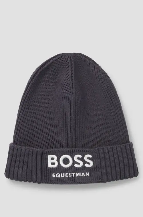 Gorro Boss 
